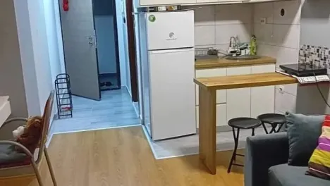 Се издава гарсоњера